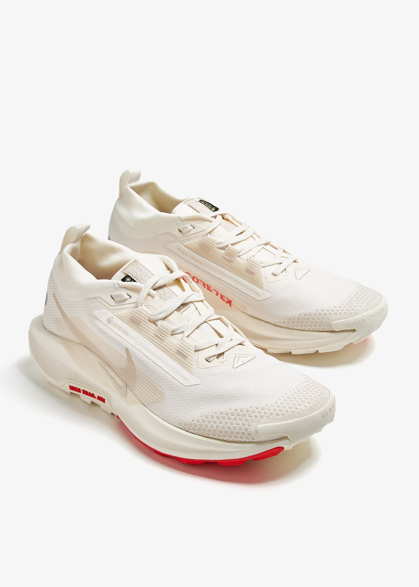 Nike PEGASUS TRAIL 5 GTX