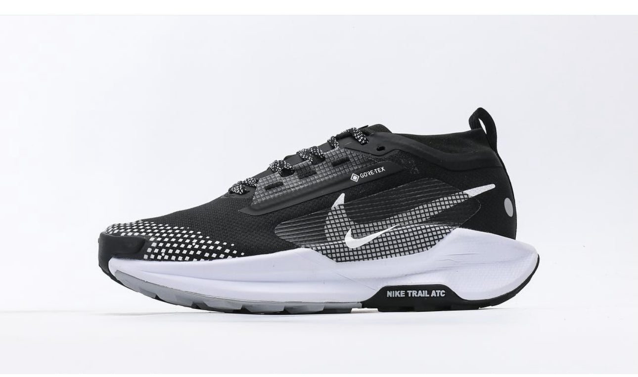Nike PEGASUS TRAIL 5 GTX