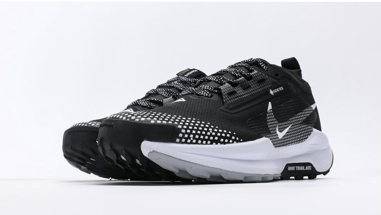 Nike PEGASUS TRAIL 5 GTX