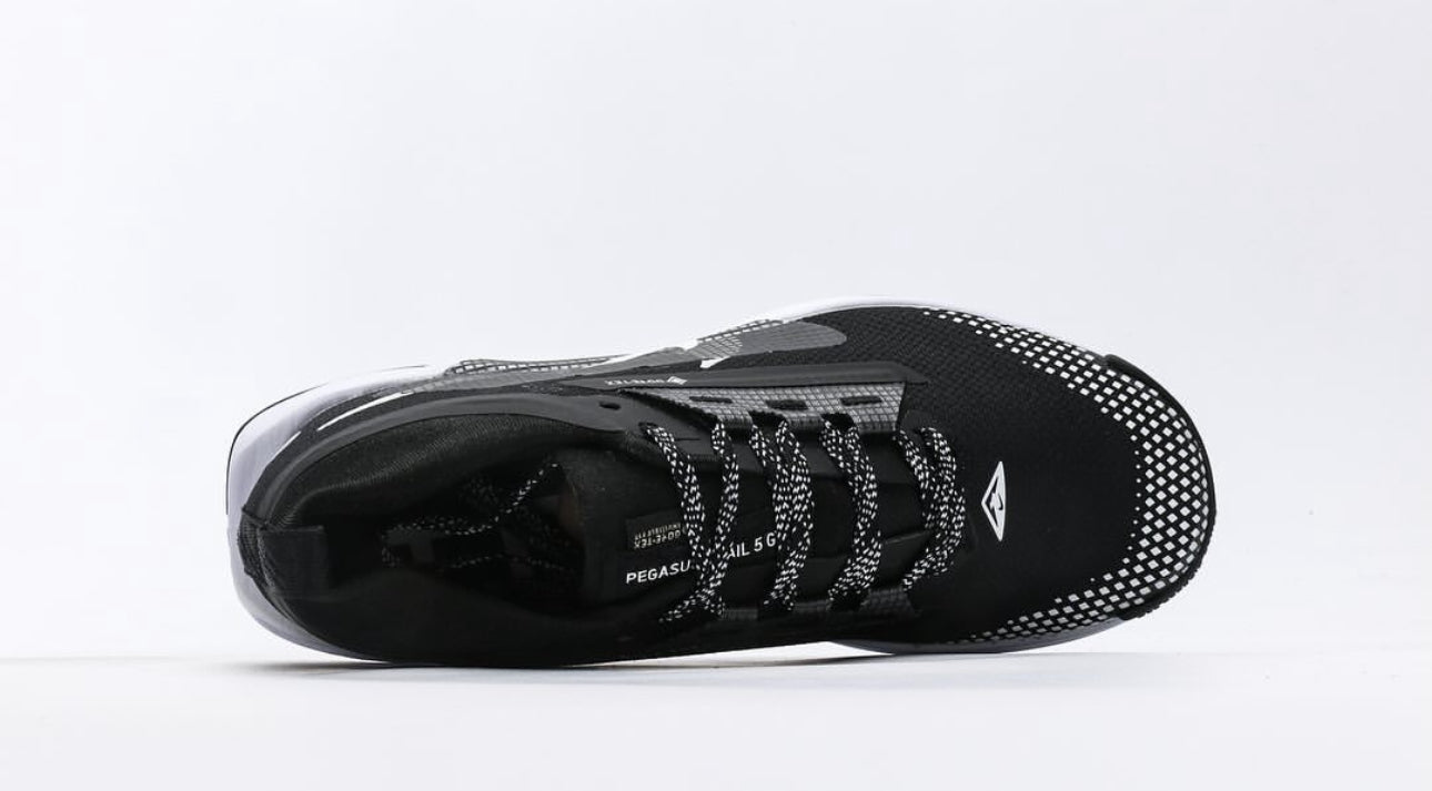 Nike PEGASUS TRAIL 5 GTX