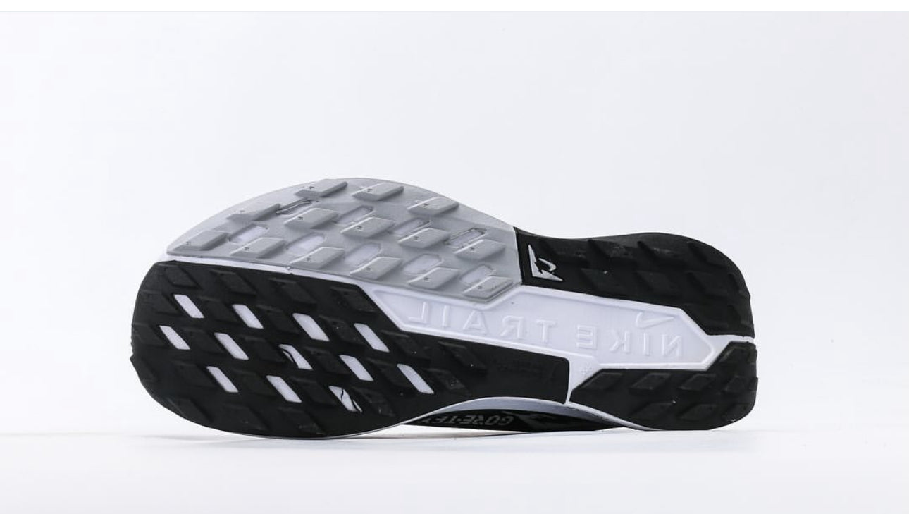 Nike PEGASUS TRAIL 5 GTX