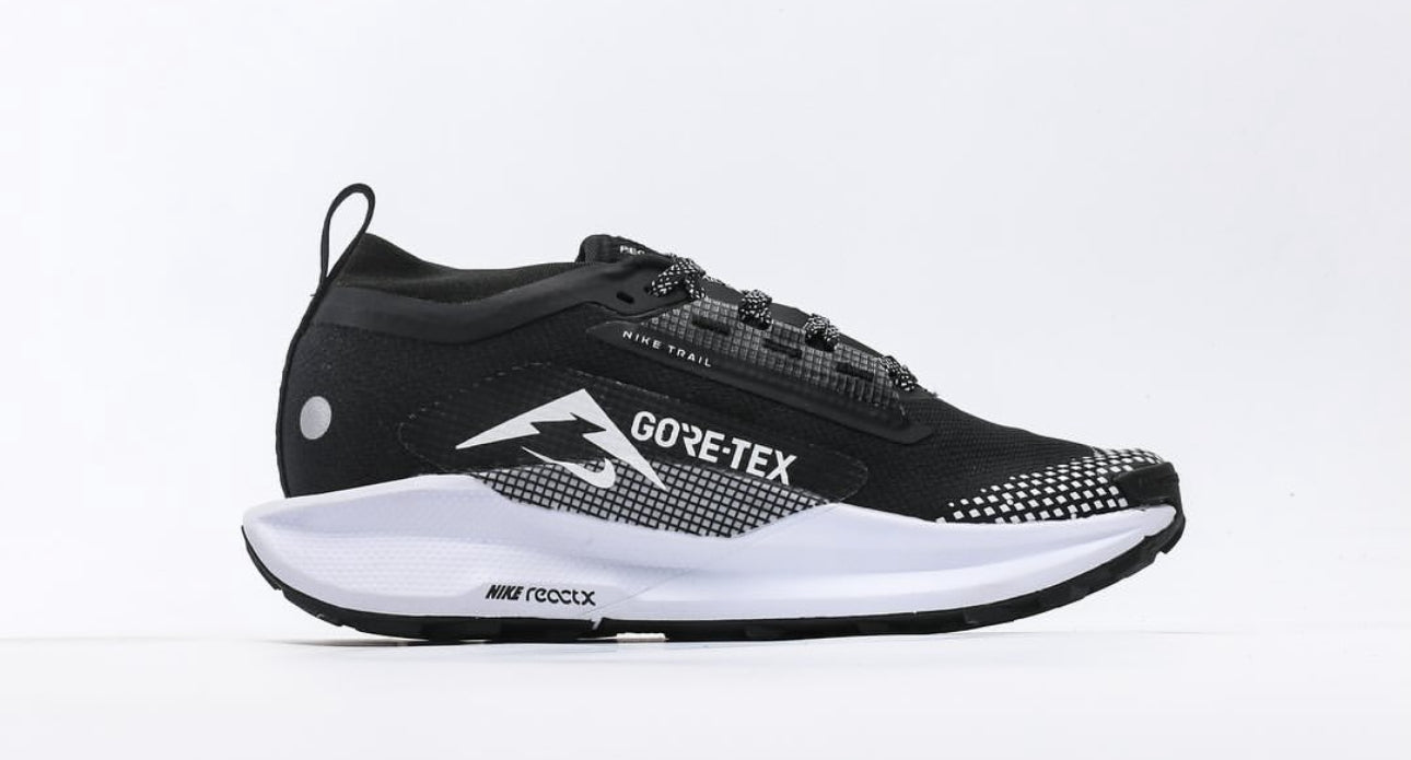 Nike PEGASUS TRAIL 5 GTX